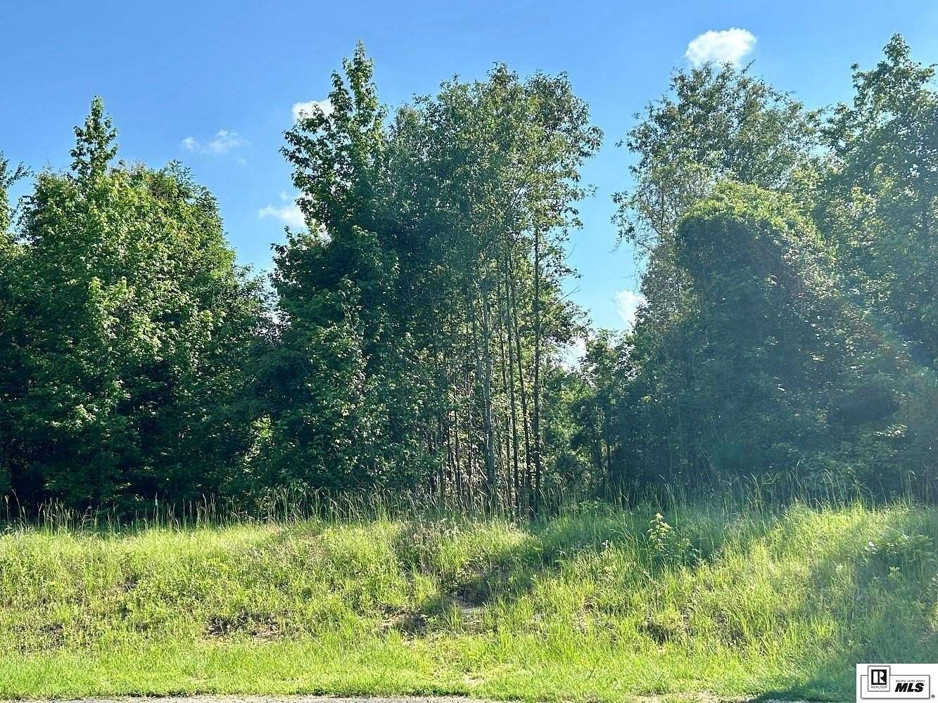 4.1 Acres of Residential Land for Sale in Downsville, Louisiana