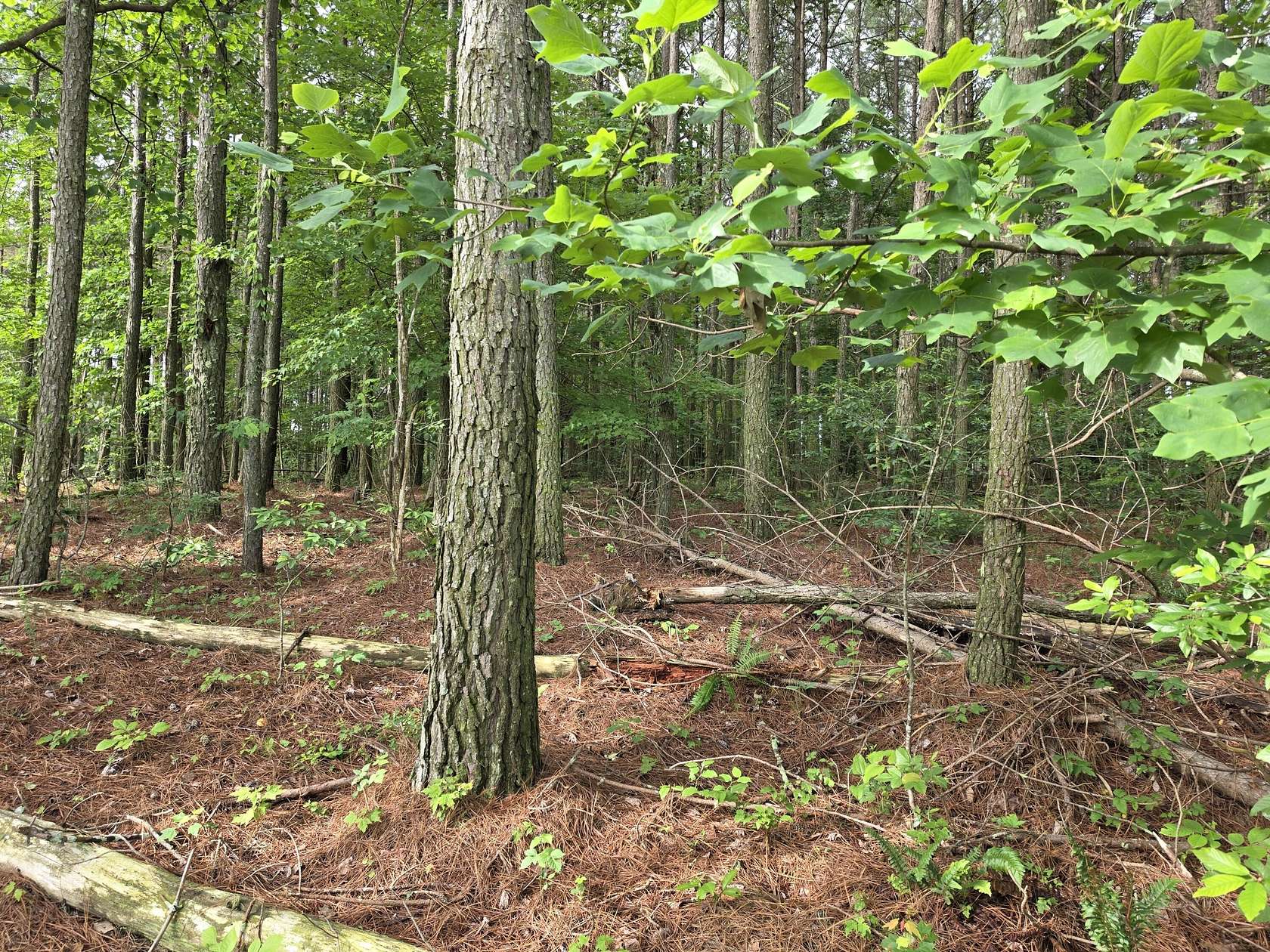 0.83 Acres of Residential Land for Sale in Jasper, Tennessee
