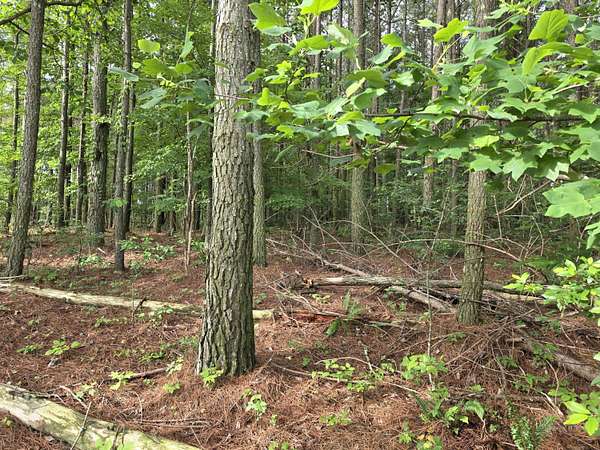 0.83 Acres of Residential Land for Sale in Jasper, Tennessee