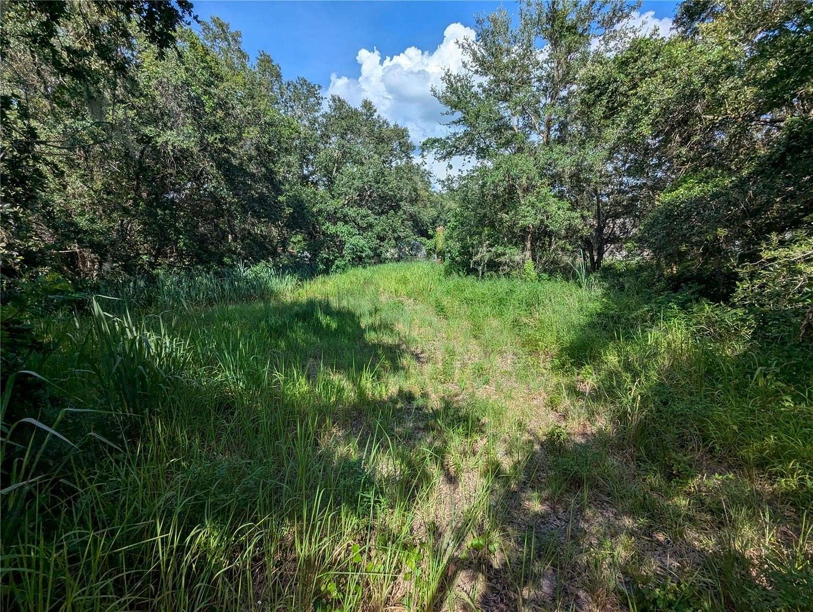 0.11 Acres of Residential Land for Sale in Mulberry, Florida