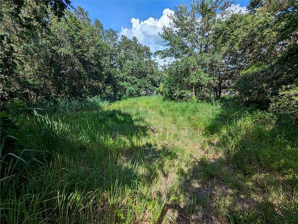 0.11 Acres of Residential Land for Sale in Mulberry, Florida
