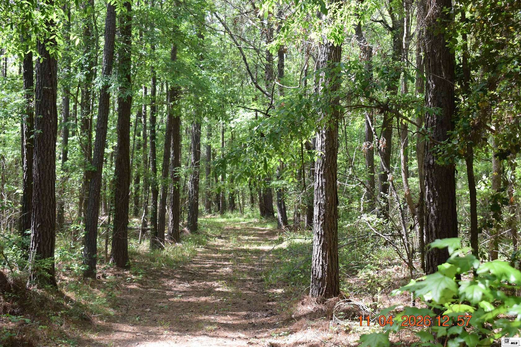 40.3 Acres of Recreational Land for Sale in Bastrop, Louisiana