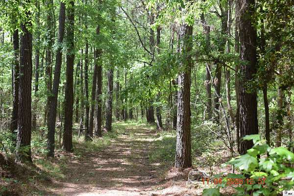 40.3 Acres of Recreational Land for Sale in Bastrop, Louisiana