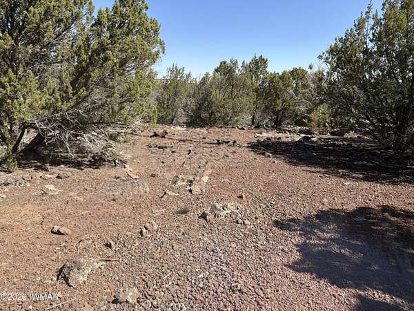 1.23 Acres of Residential Land for Sale in Vernon, Arizona