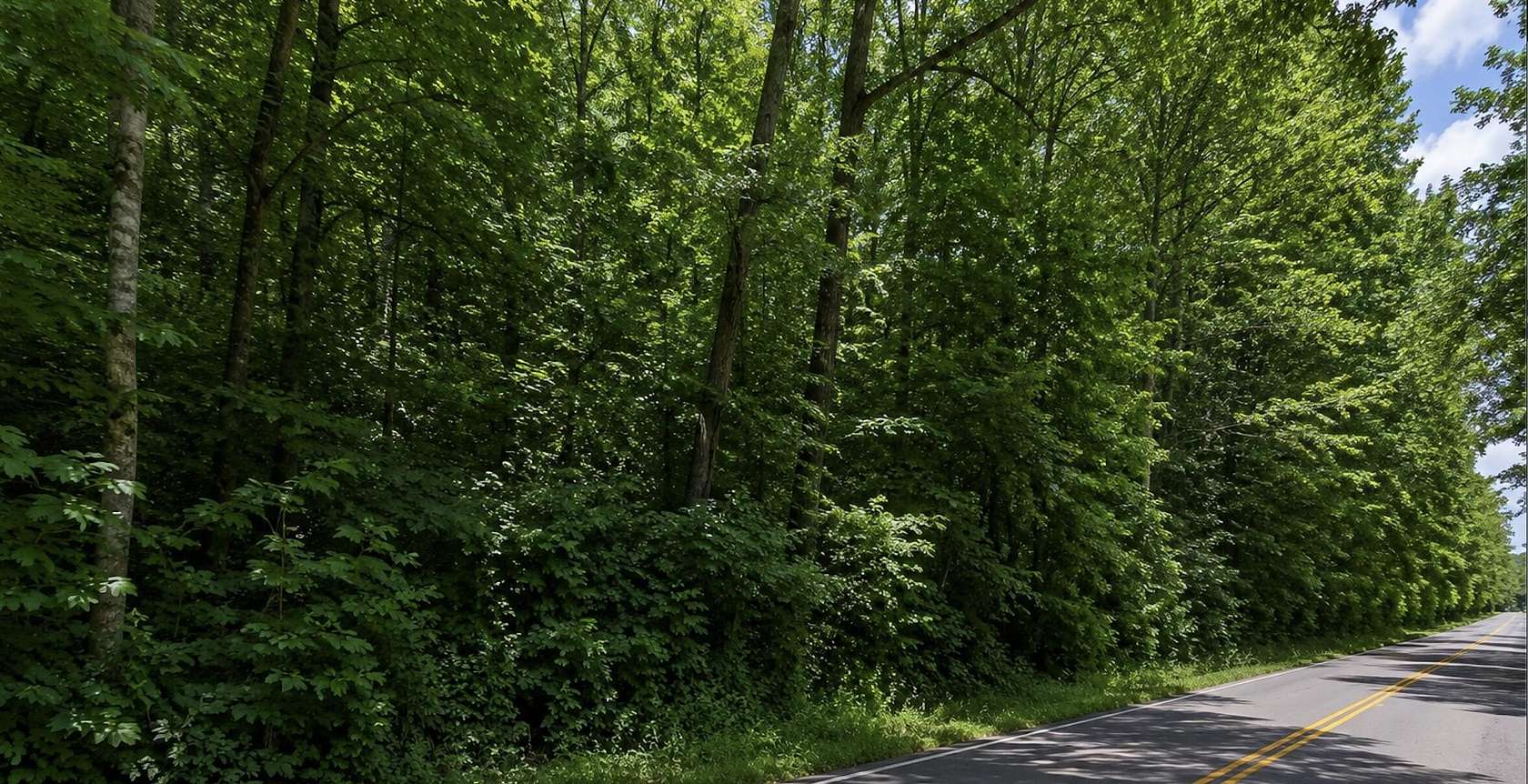 28 Acres of Recreational & Residential Land for Sale in Corbin, Kentucky