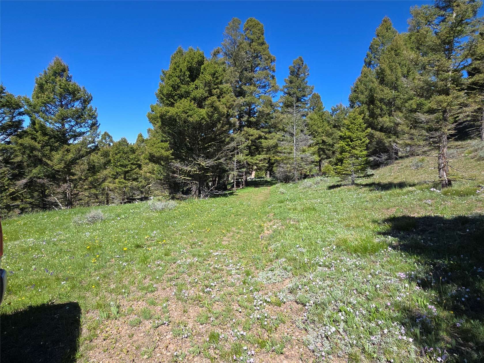 40 Acres of Recreational Land for Sale in Helmville, Montana