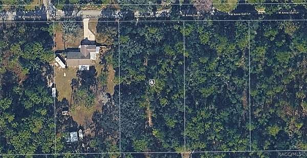 1 Acre of Residential Land for Sale in Crystal River, Florida