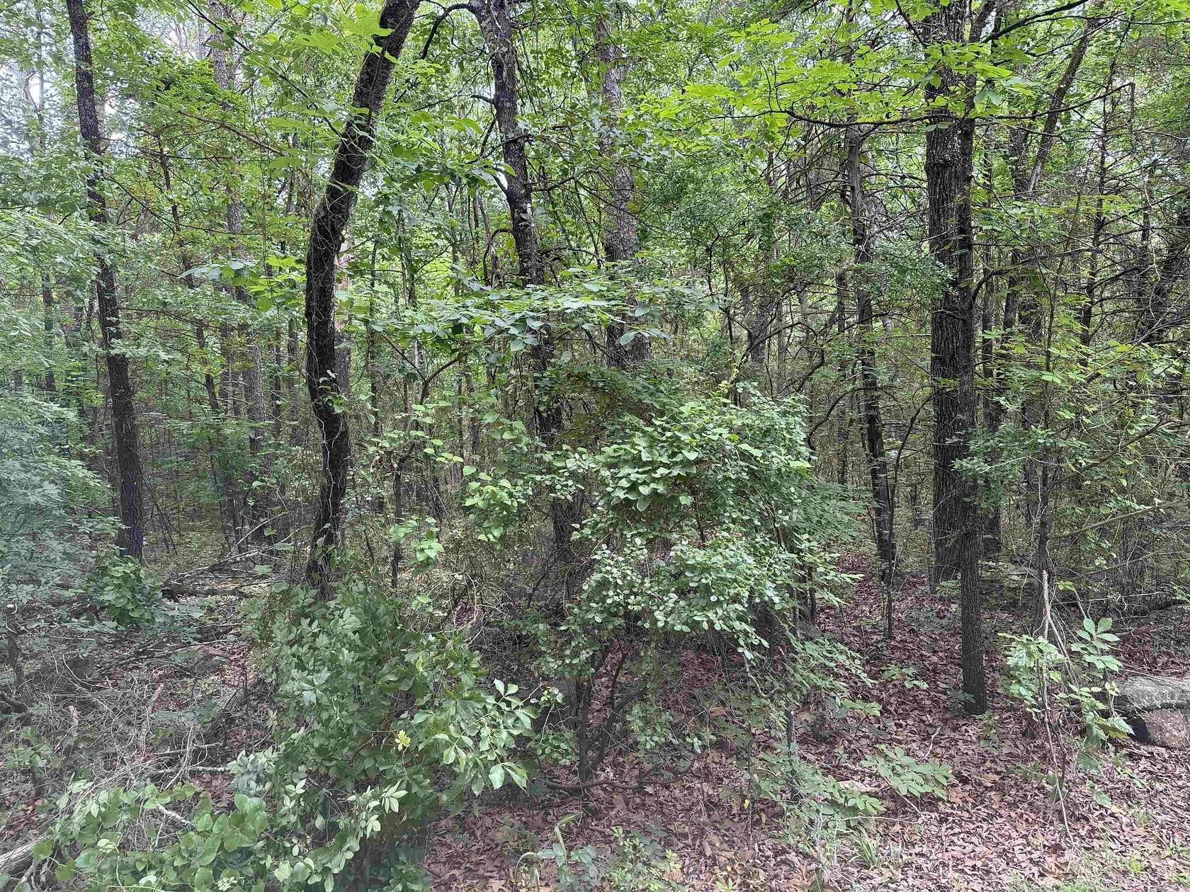 1.35 Acres of Land for Sale in Heber Springs, Arkansas