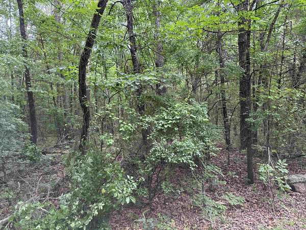 1.35 Acres of Land for Sale in Heber Springs, Arkansas