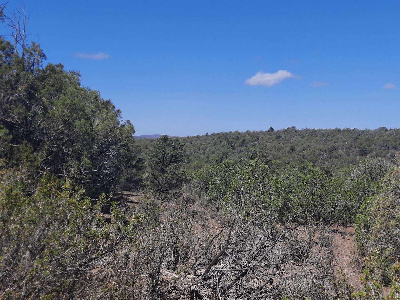 37.2 Acres of Land for Sale in Seligman, Arizona