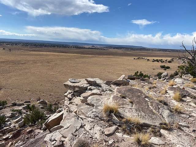 80.8 Acres of Land for Sale in St. Johns, Arizona