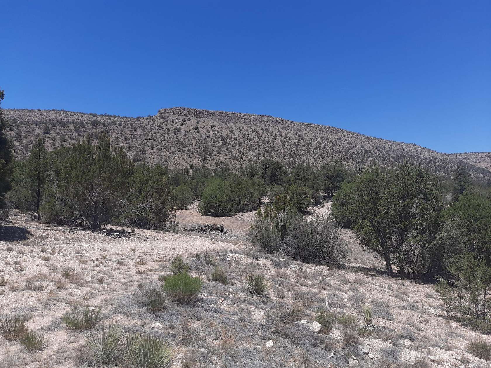 7.3 Acres of Land for Sale in Seligman, Arizona