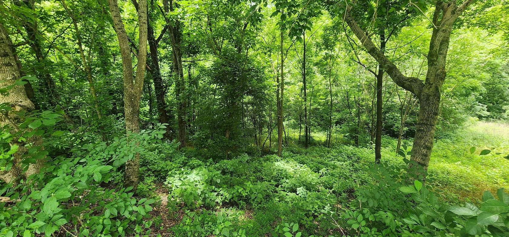 1 Acre of Residential Land for Sale in Smithville, Tennessee