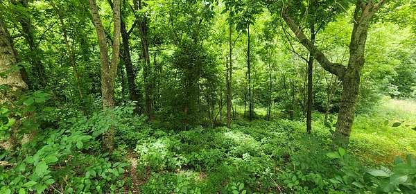 1 Acre of Residential Land for Sale in Smithville, Tennessee