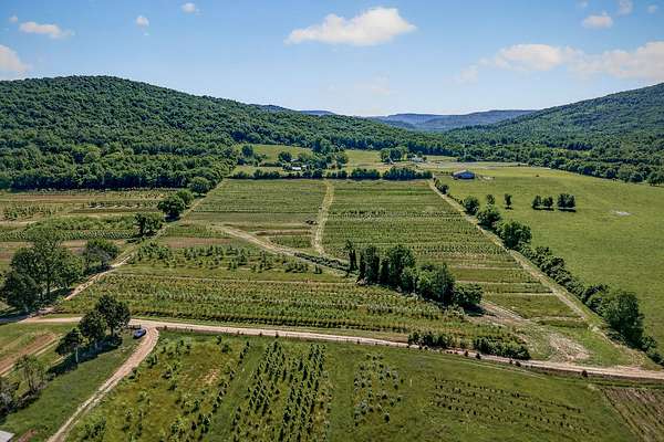 22 Acres of Agricultural & Residential Land for Auction in McMinnville, Tennessee