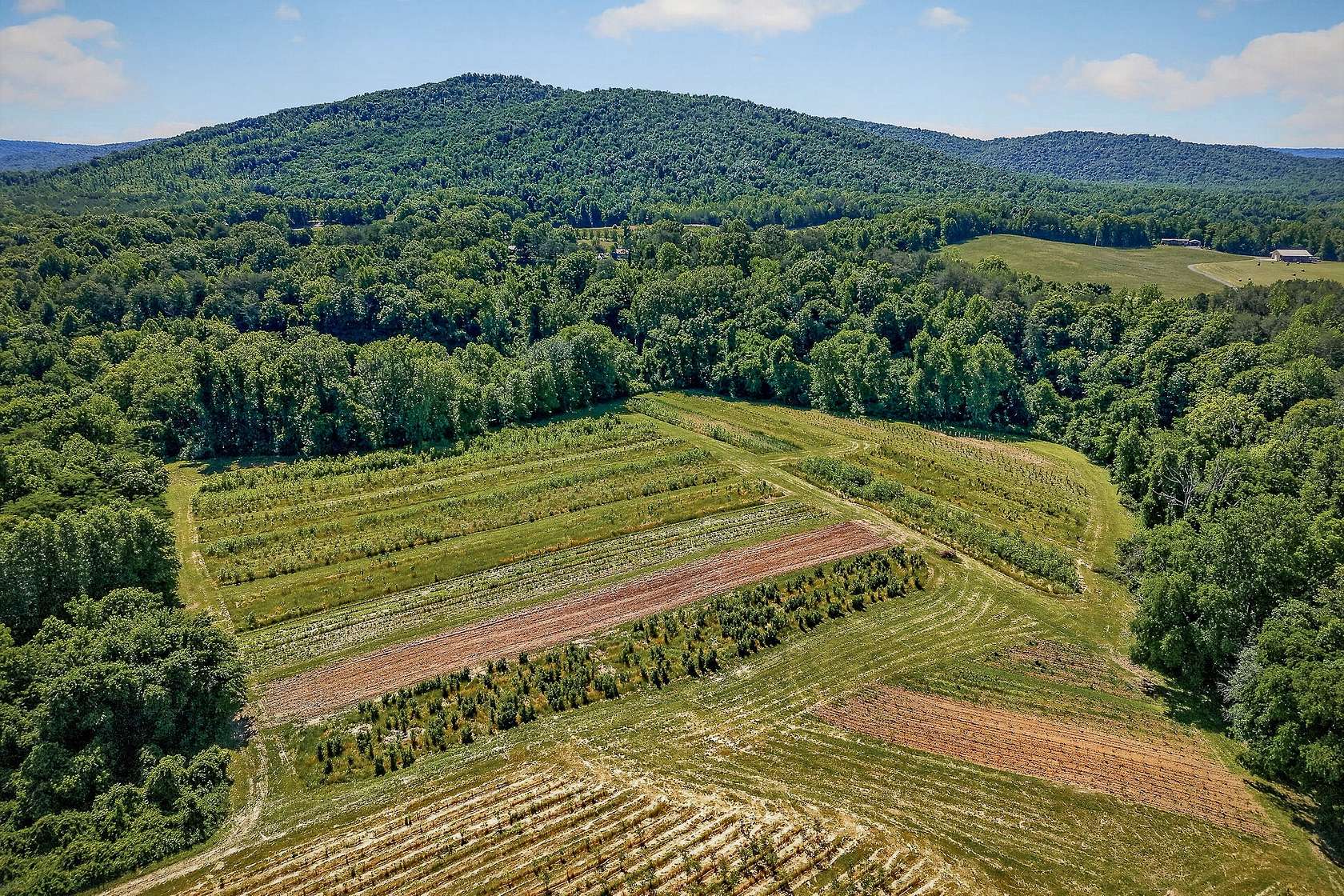 11.3 Acres of Land for Auction in McMinnville, Tennessee