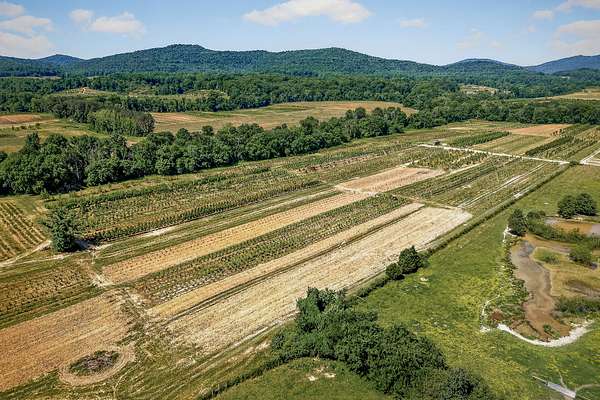36.5 Acres of Agricultural Land for Auction in McMinnville, Tennessee