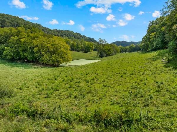 29 Acres of Land for Sale in Normandy, Tennessee