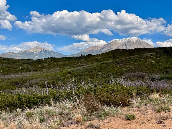 72 Acres of Land for Sale in La Veta, Colorado