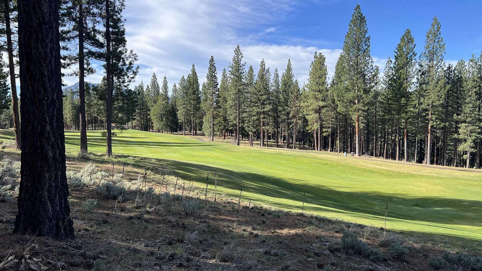 1 Acre of Residential Land for Sale in Portola, California