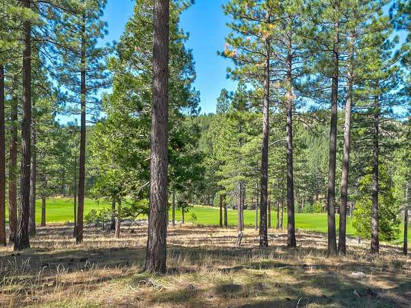 1 Acre of Residential Land for Sale in Portola, California