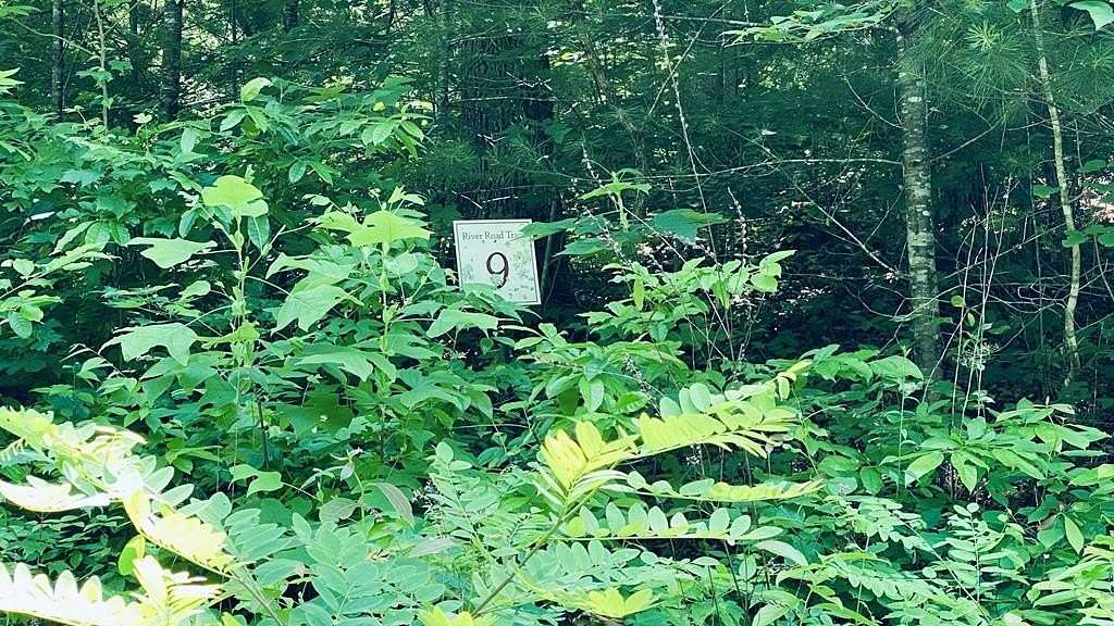 2.52 Acres of Land for Sale in Franklin, North Carolina