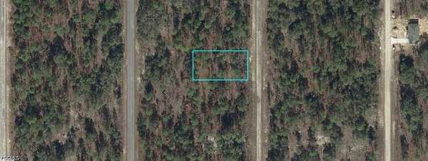 0.25 Acres of Land for Sale in Dunnellon, Florida