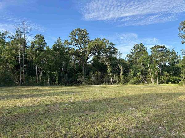 1 Acre of Residential Land for Sale in Crawfordville, Florida