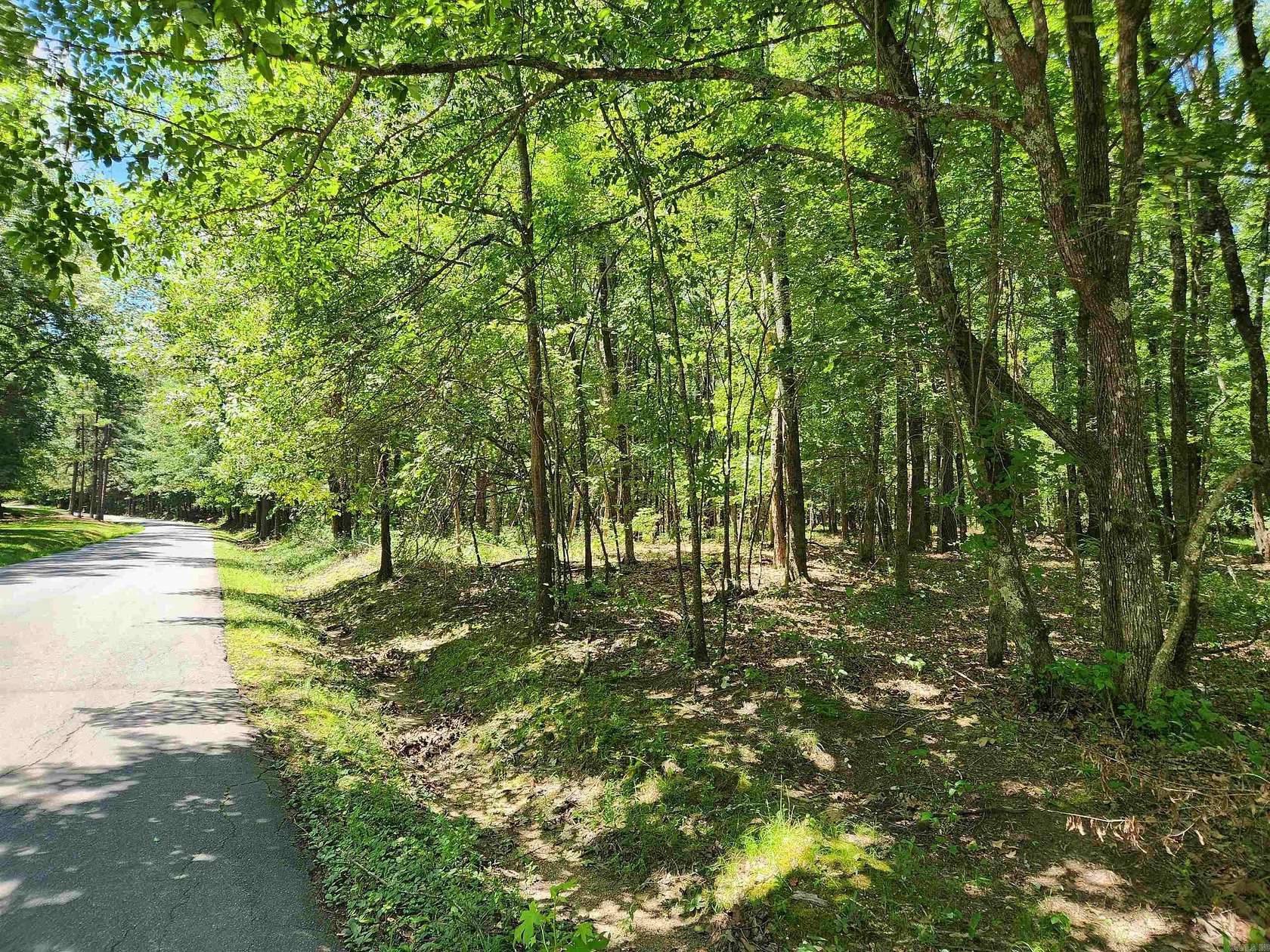36 Acres of Recreational & Residential Land for Sale in Star City, Arkansas