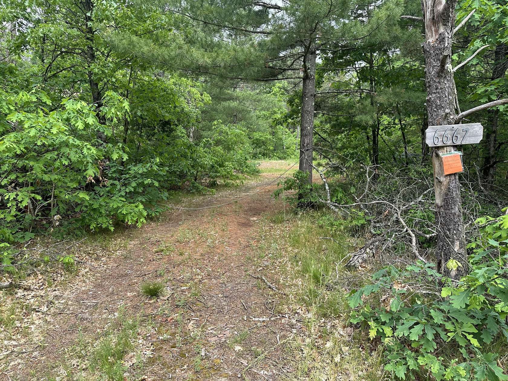 0.63 Acres of Land for Sale in Baldwin, Michigan