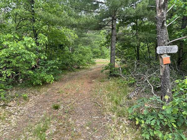 0.63 Acres of Land for Sale in Baldwin, Michigan