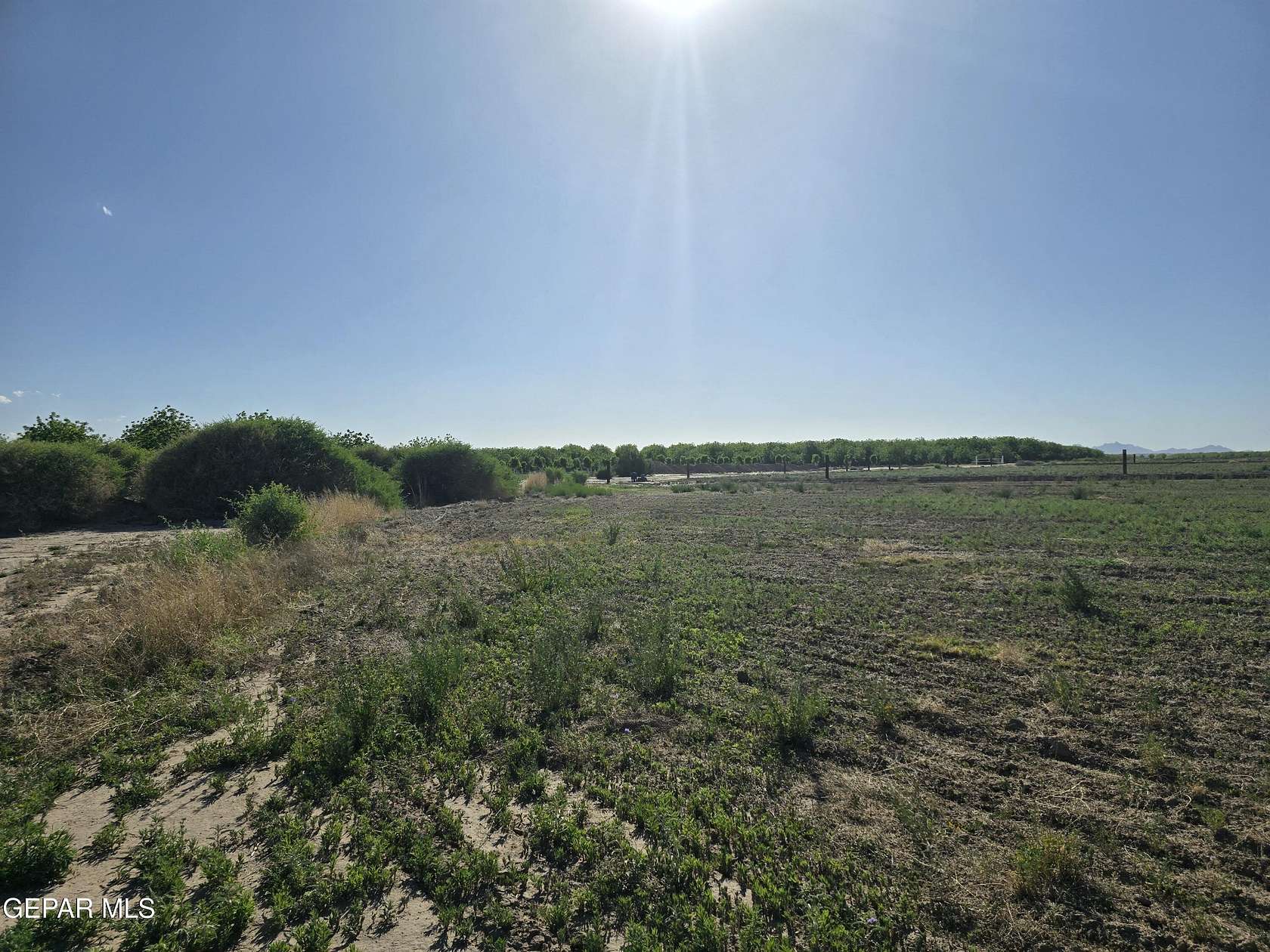 5 Acres of Agricultural Land for Sale in San Elizario, Texas