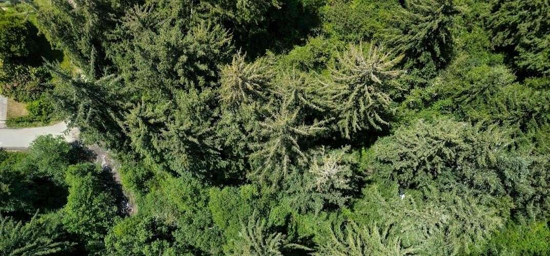 0.1 Acres of Residential Land for Sale in Crescent City, California