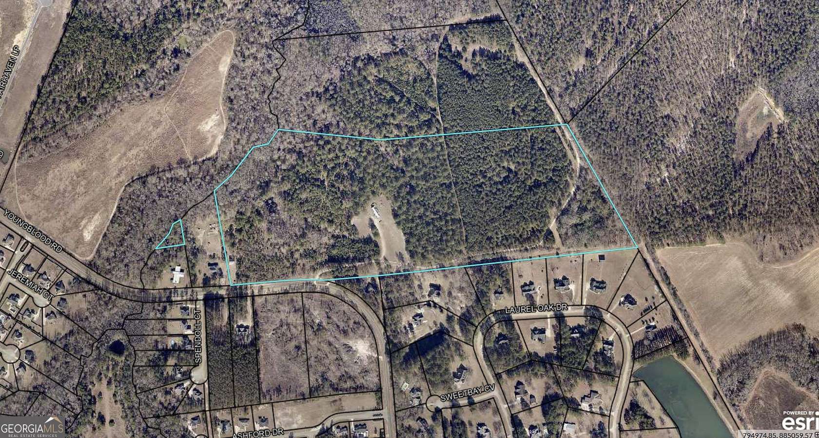52.5 Acres of Land for Sale in Statesboro, Georgia