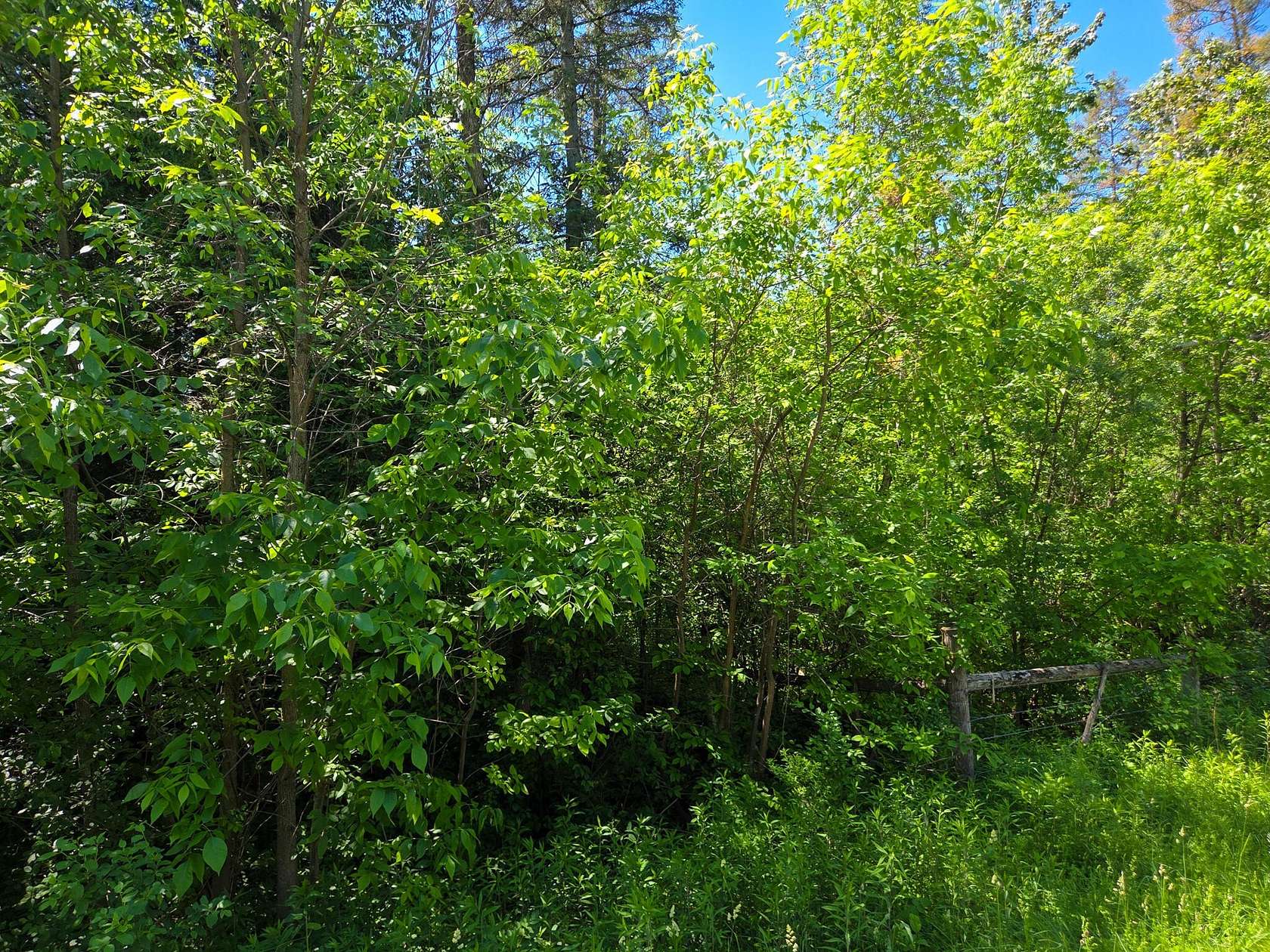 0.96 Acres of Residential Land for Sale in Brasher Falls, New York