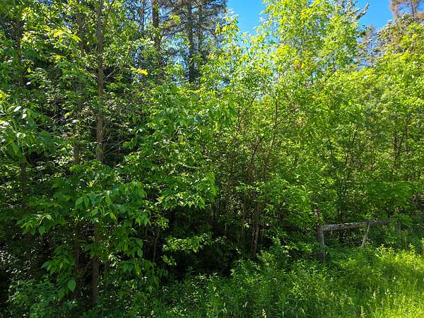 0.96 Acres of Residential Land for Sale in Brasher Falls, New York