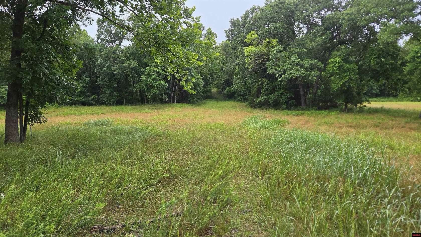 40 Acres of Recreational & Residential Land for Sale in Flippin, Arkansas