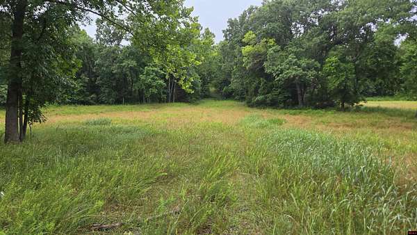 40 Acres of Recreational & Residential Land for Sale in Flippin, Arkansas