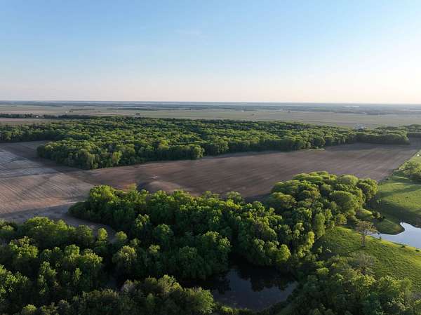 351 Acres of Land for Sale in New Boston, Illinois