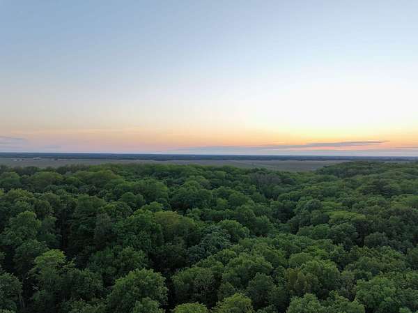 351 Acres of Land for Sale in New Boston, Illinois