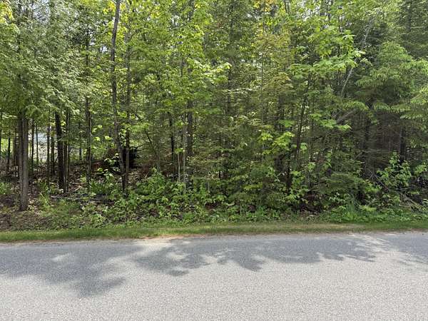 0.24 Acres of Land for Sale in Cheboygan, Michigan
