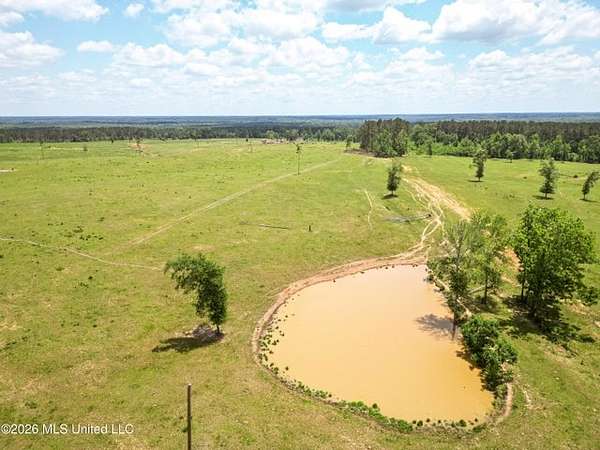 50 Acres of Land for Sale in Ruth, Mississippi