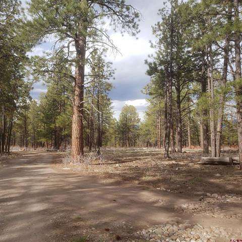 40 Acres of Land for Sale in Montrose, Colorado