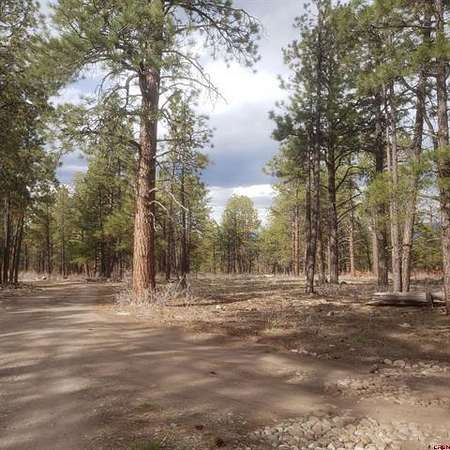 40 Acres of Land for Sale in Montrose, Colorado