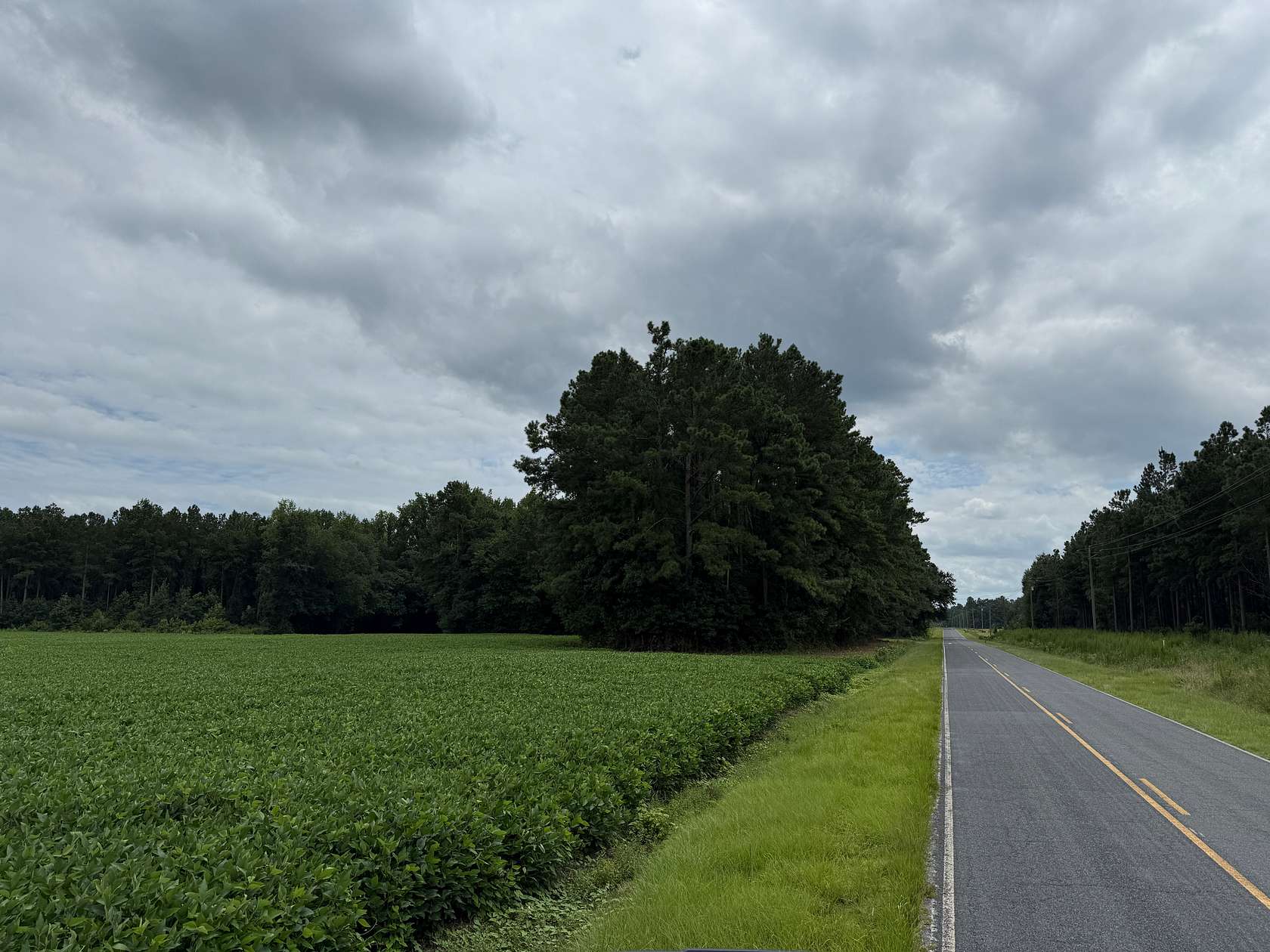 56.3 Acres of Land for Sale in Aurora, North Carolina