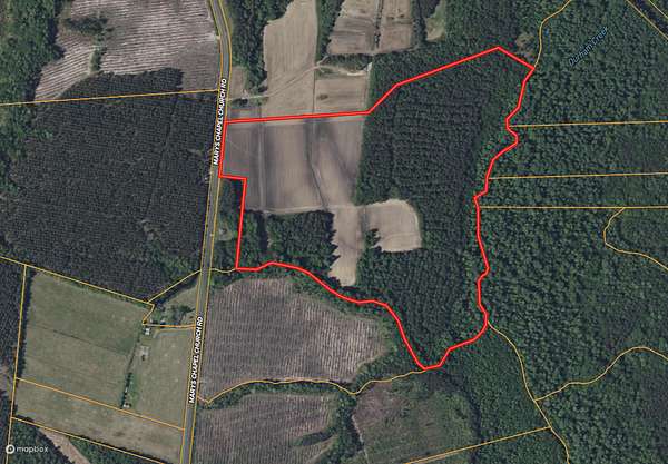 56.3 Acres of Land for Sale in Aurora, North Carolina
