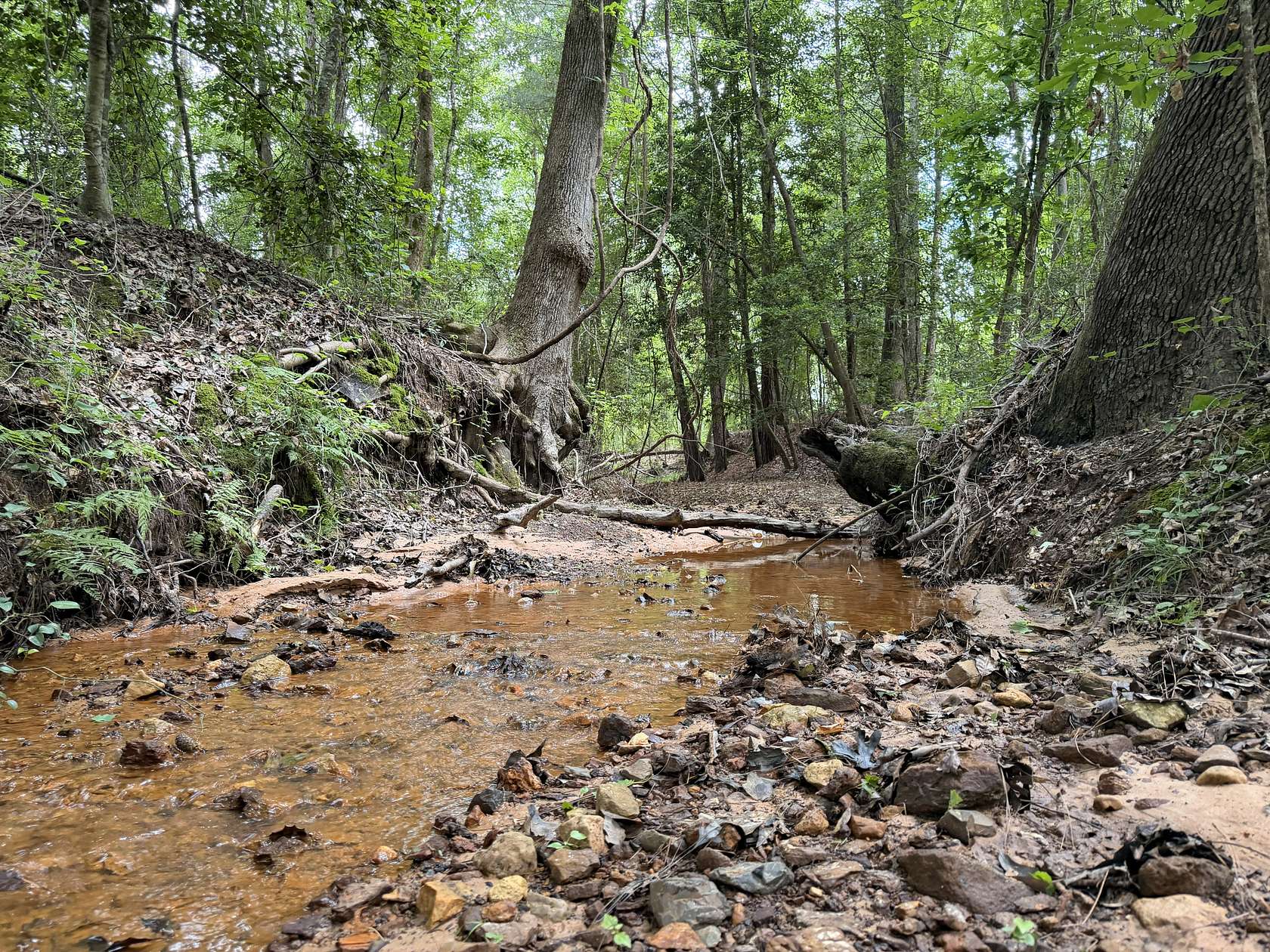 44 Acres of Land for Sale in Douglassville, Texas