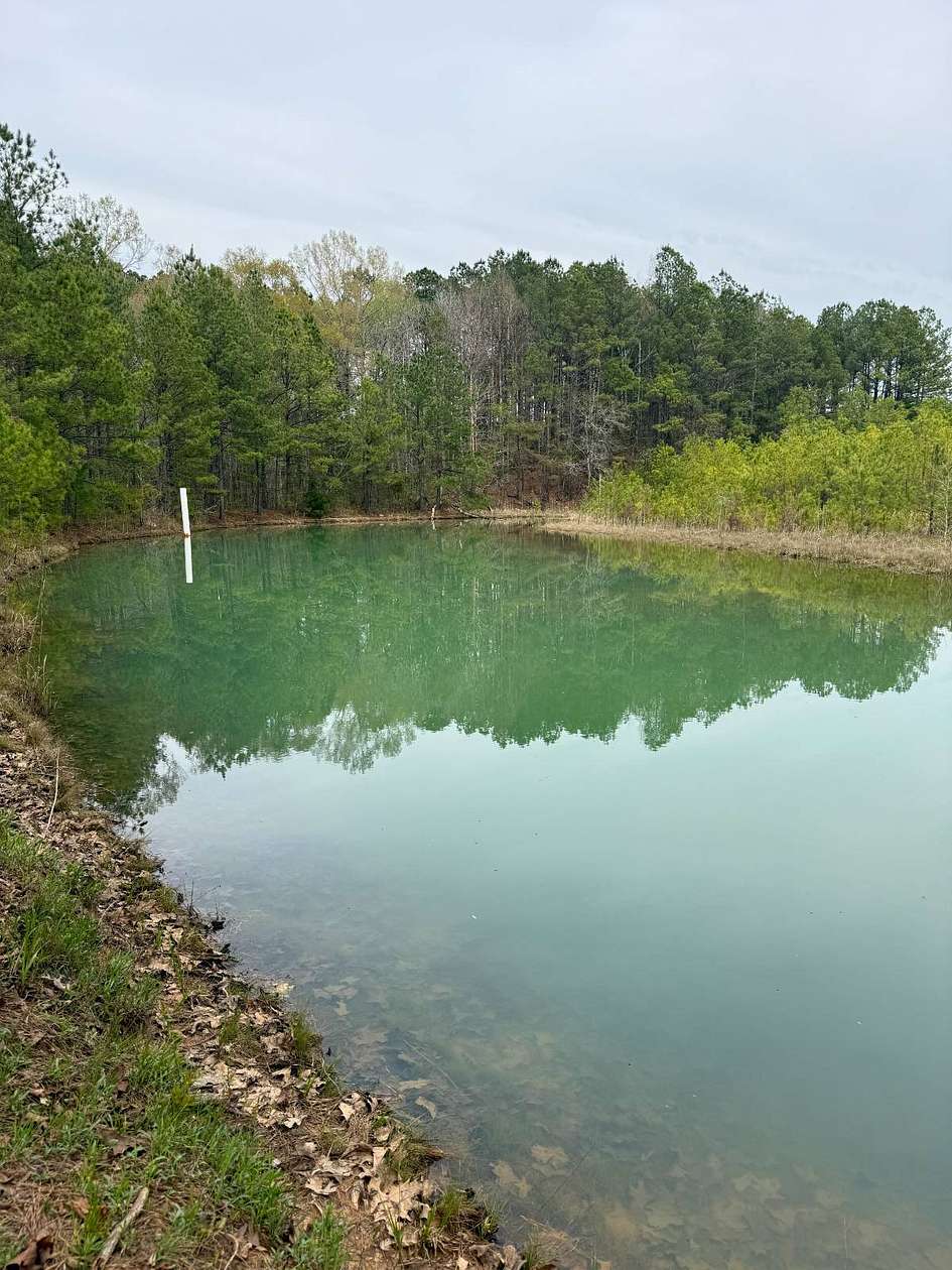 55 Acres of Recreational & Residential Land for Sale in Preston, Mississippi