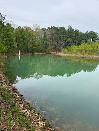 55 Acres of Recreational & Residential Land for Sale in Preston, Mississippi