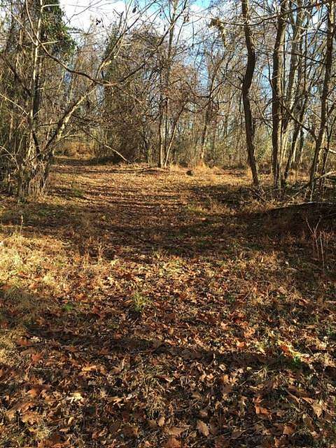 23.3 Acres of Recreational & Residential Land for Sale in Weston, West Virginia